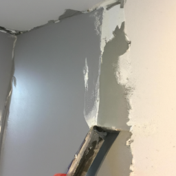 Peinture de Muret Extérieur: Personnalisation et Protection La Riche